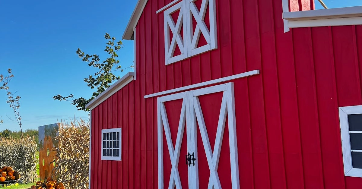 Слот игра с фермерской тематикой Bigger Barn House Bonanza